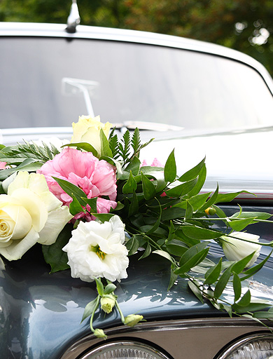 Wedding DJ KerryKerry Wedding DJ
Wedding DJs MunsterWedding DJ Cork Kerry LimerickBrides of Kerry